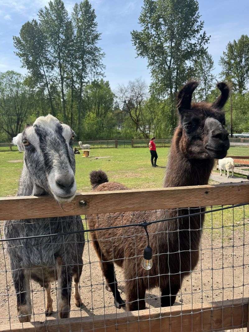 Treat Buckets And Instant Friendships