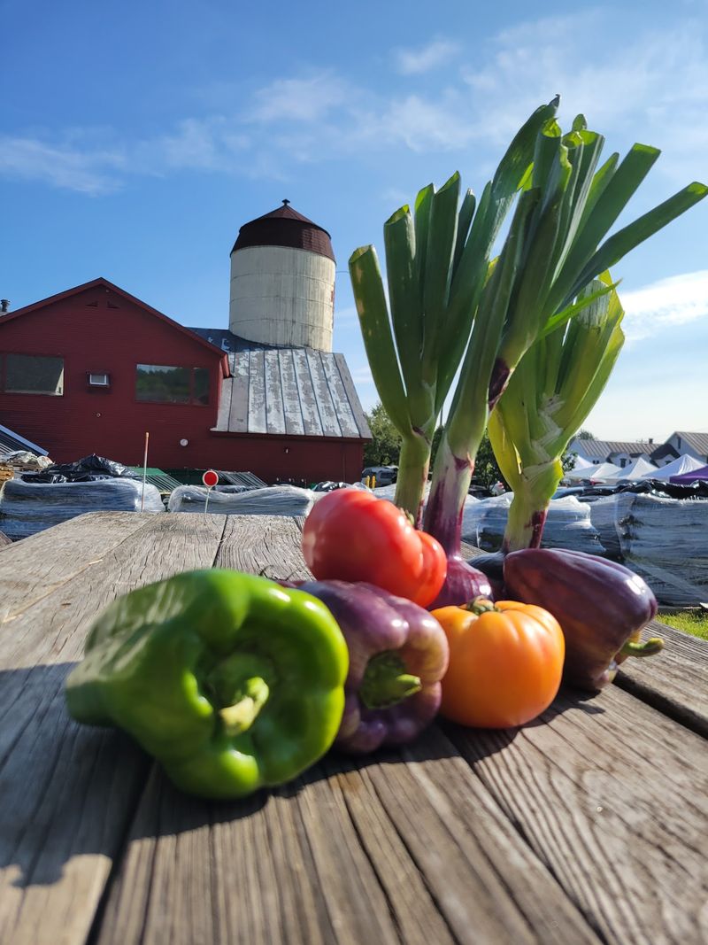 Vegetables Still Warm From Sunshine
