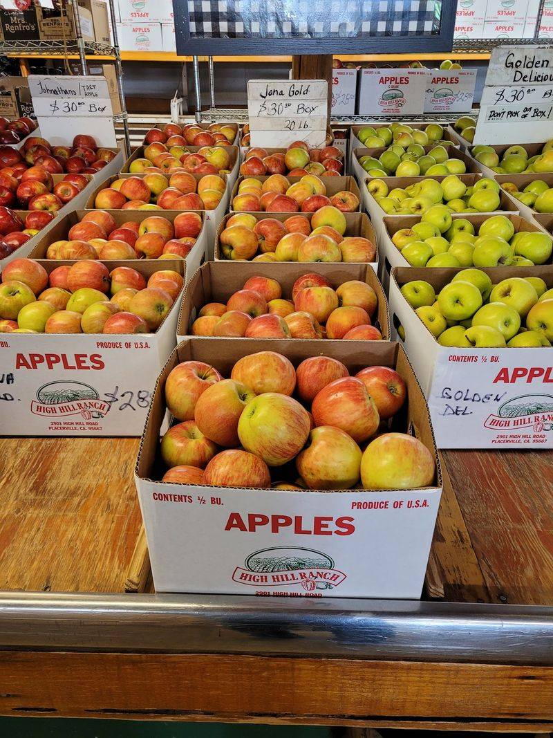 Donuts, Fritters And Warm Cider