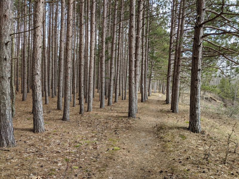 Trails That Go Long And Trails That Go Easy