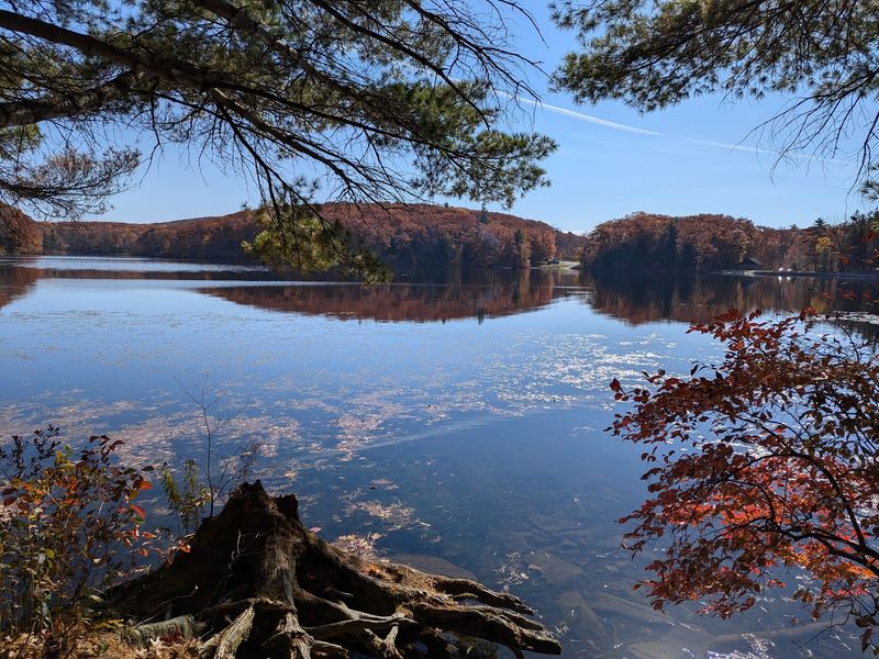 More Than 10,000 Acres