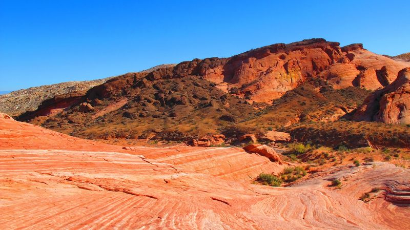 Tortoise Country Under Federal Watch