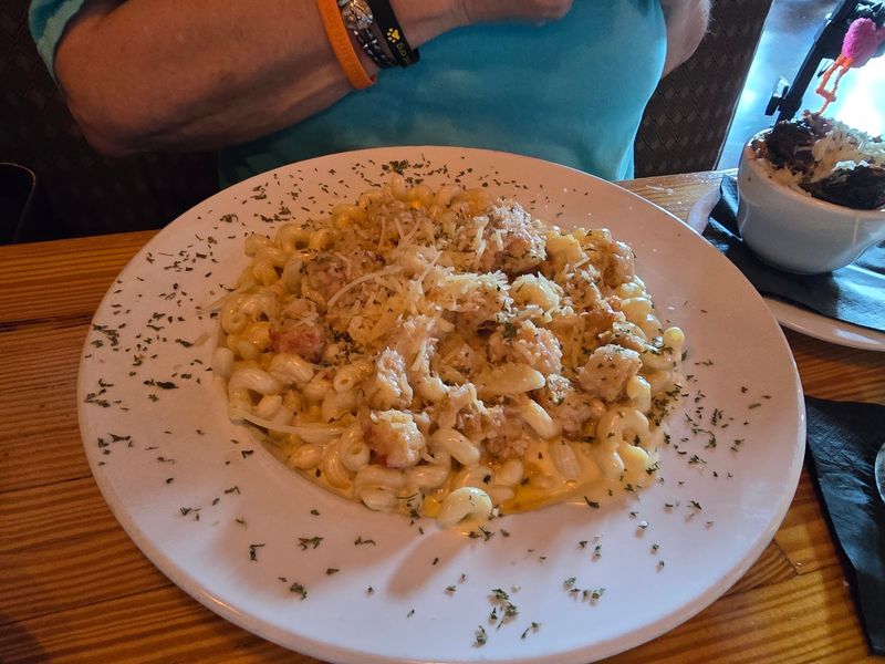 Mac And Cheese With A Cult Following