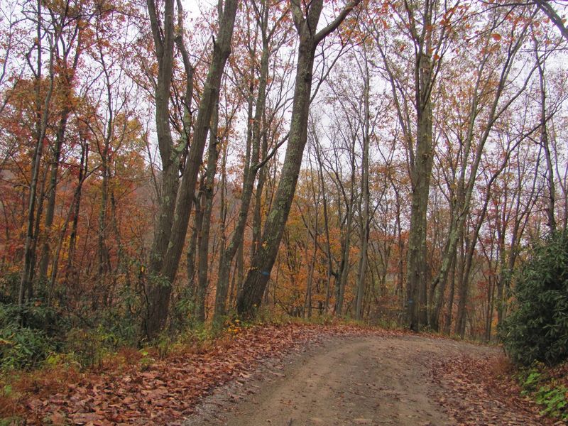 The Rugged Road Down