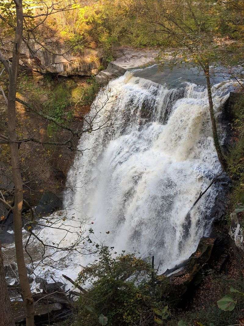 Sixty-Five Feet of Falling Water