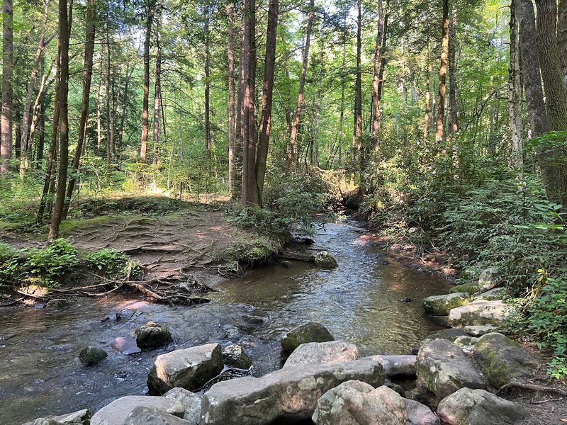 A National Park Address Without the National Park Effort