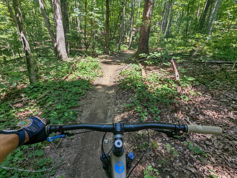 Enterprise South Nature Park Mountain Bike Trails, Chattanooga