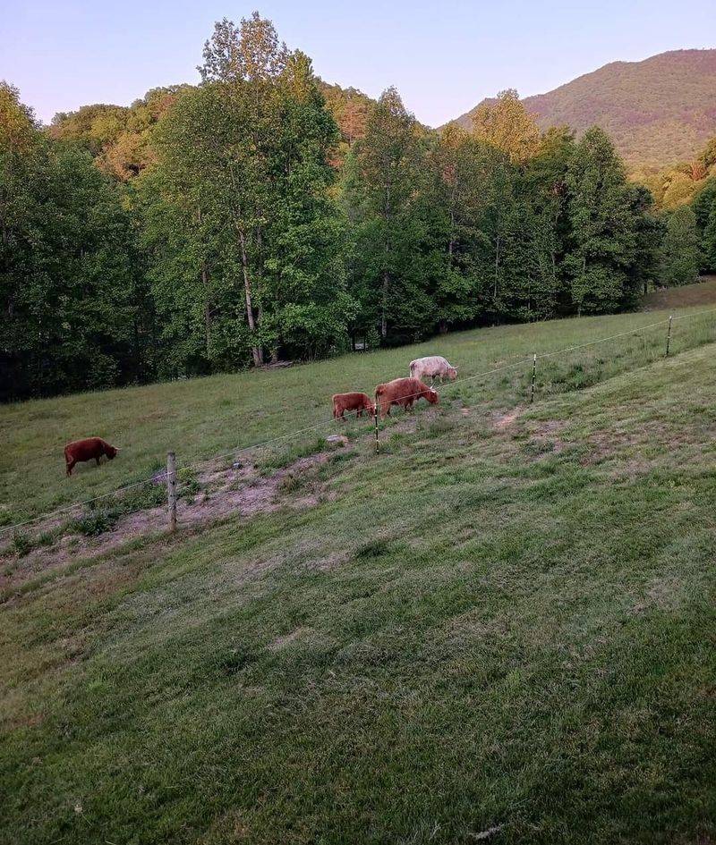 Foothills Scenery Without The Parkway Crawl