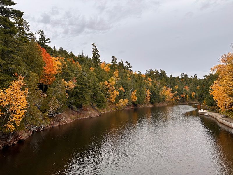 Autumn Turns The Canopy Loud