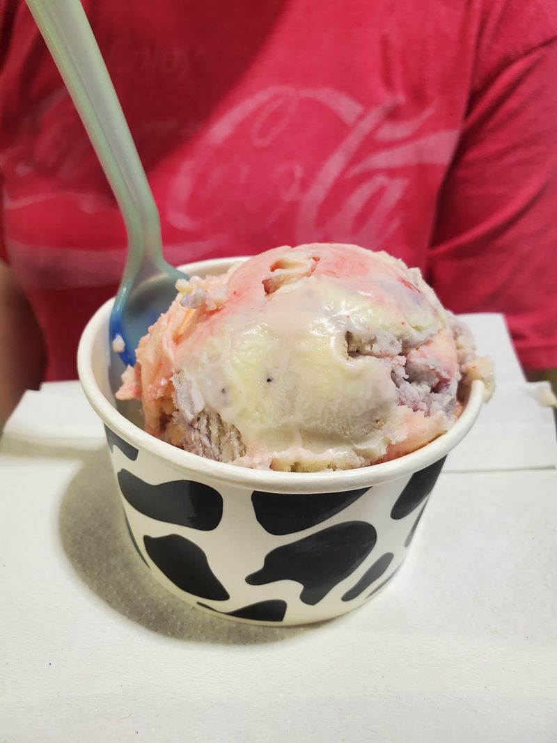 Cow Portraits And Color Changing Spoons