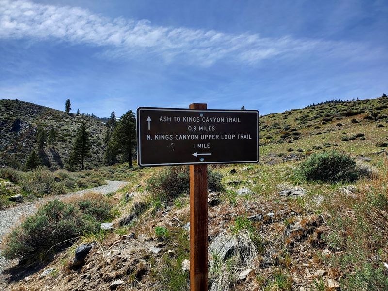 A Trail Network That Keeps Going
