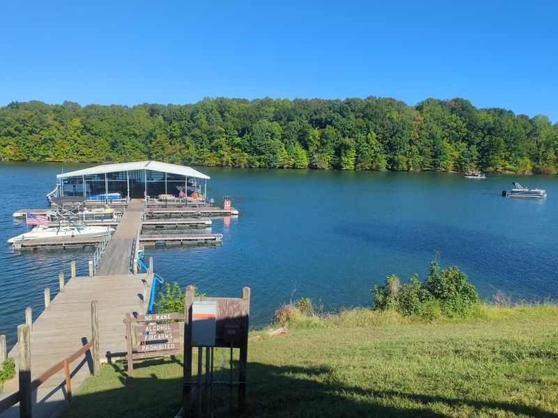 Tims Ford Lake, Where The Bass Have A Reputation