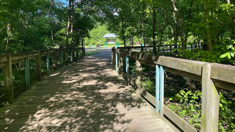Boardwalks, Wetlands, And Trails Without Pavement