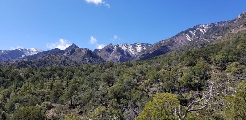 Timing Your Trip For The Best Conditions
