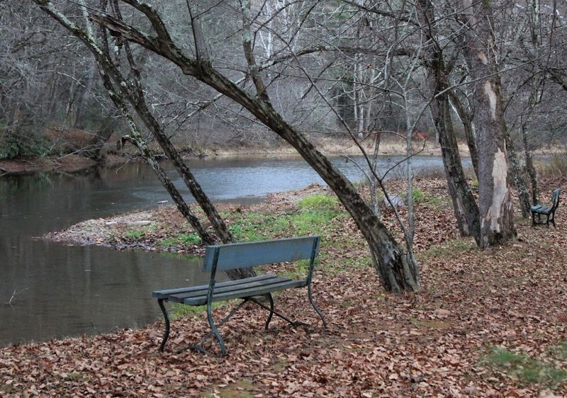 Outdoor Activities To Reconnect With Nature