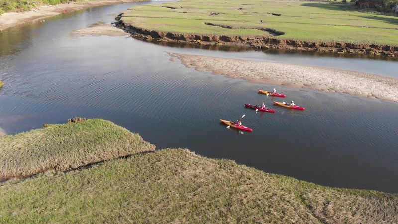 Guided Nature Tours Led By Certified Instructors