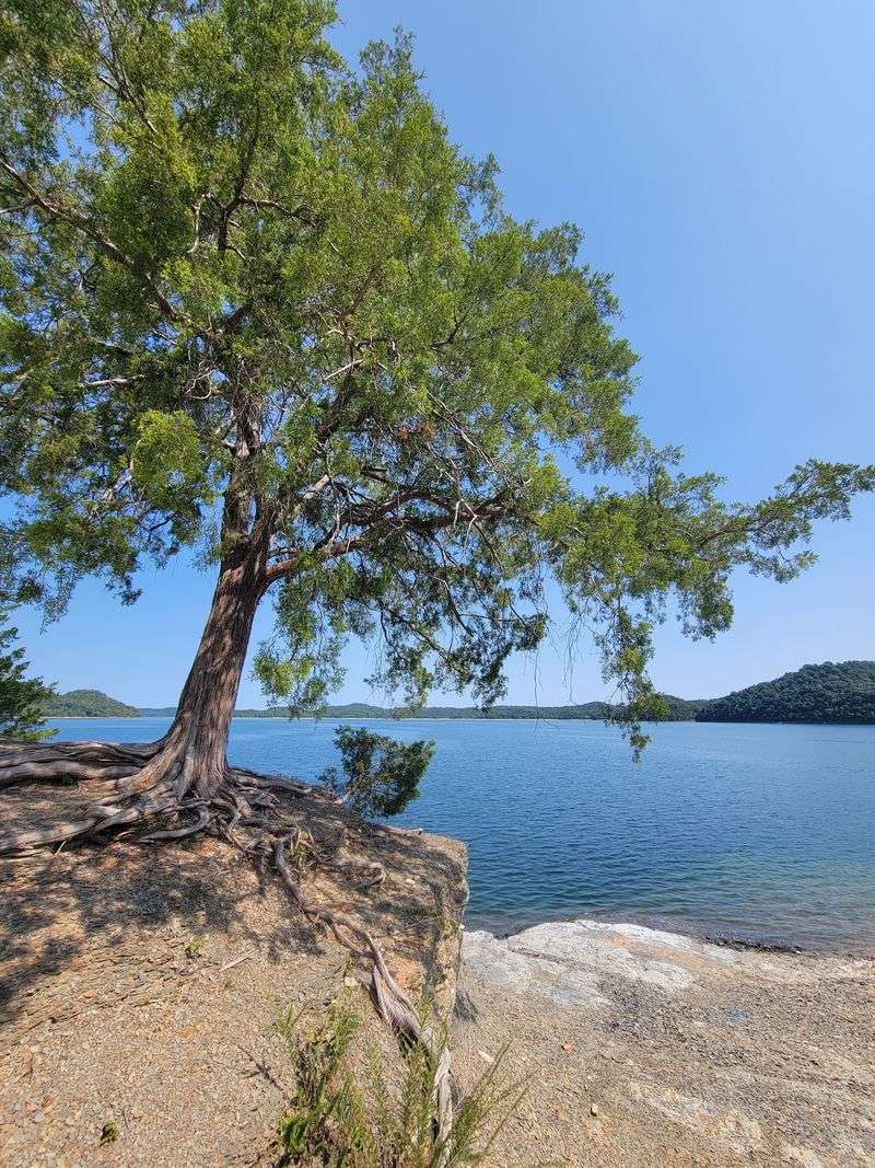 Celina (Dale Hollow Lake)