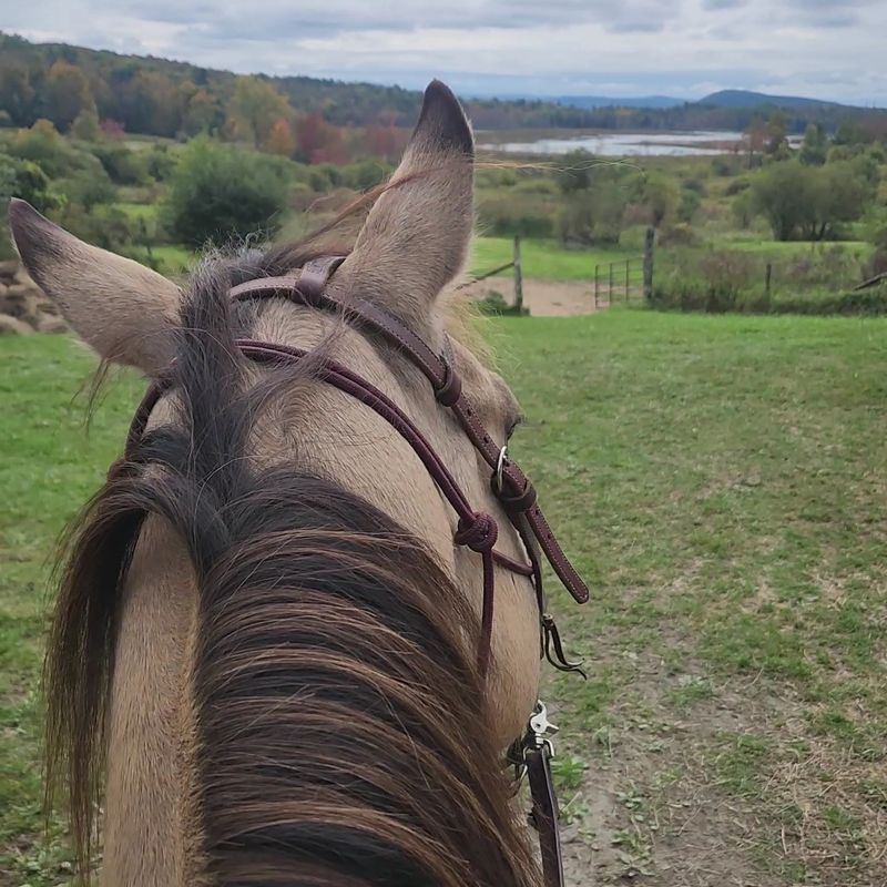 Soaking Up Those Rolling Berkshire Views