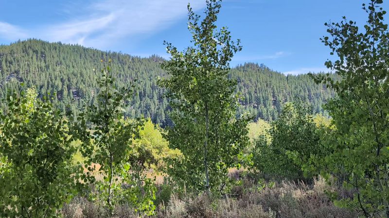 Miles Of Backcountry To Explore