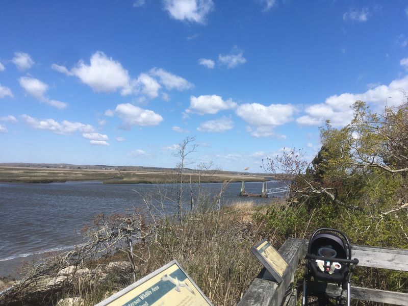 Old Lyme