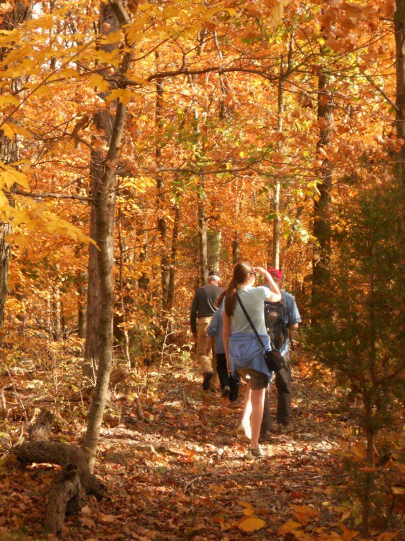 Guided Hikes With Lanterns, Wildflowers, And Fall Color