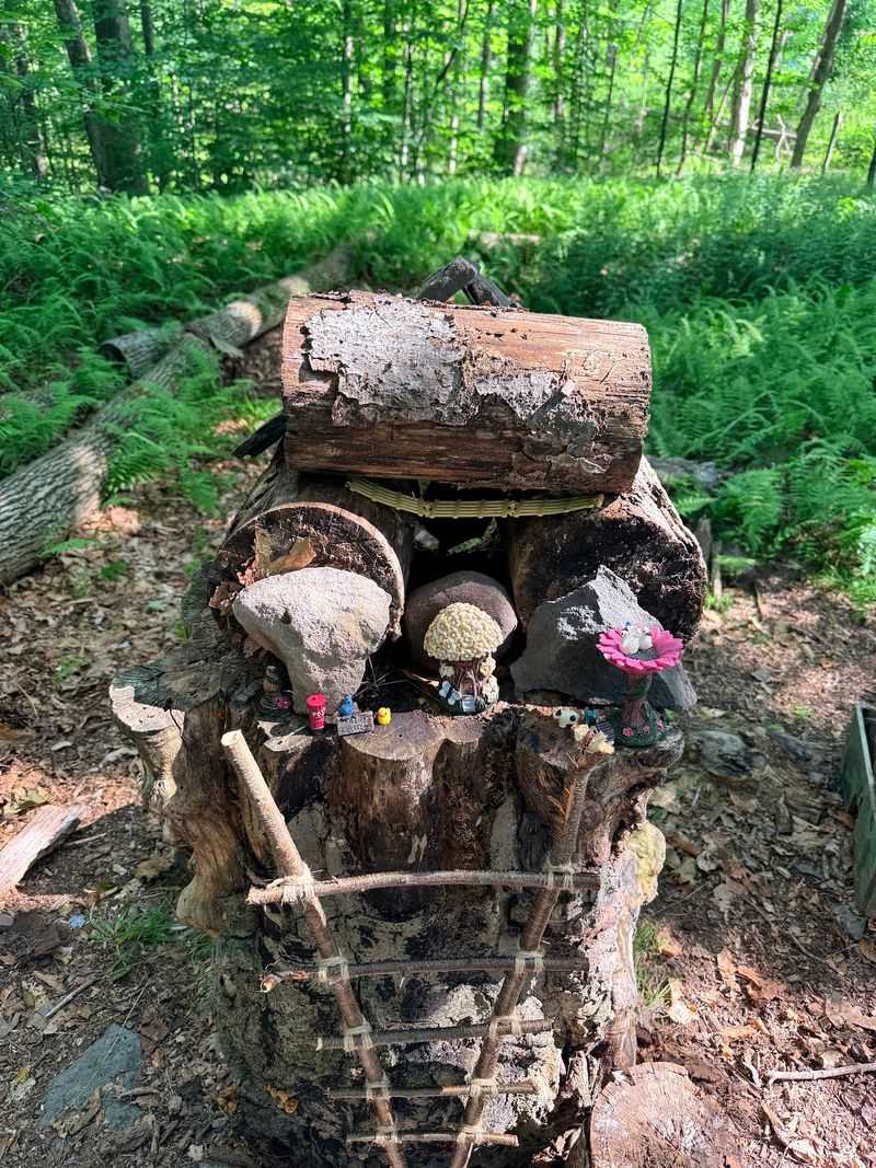 The Fairy Garden Wins Over Young Explorers