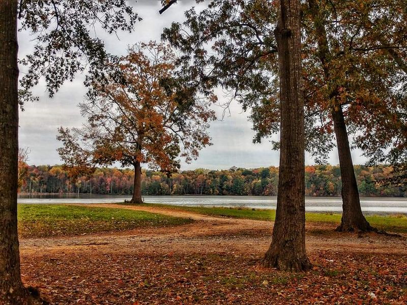 A Spa Town Past That Started With Mineral Springs