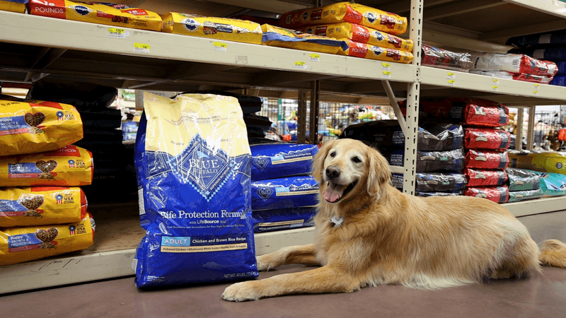 Everything Your Animals Could Possibly Want