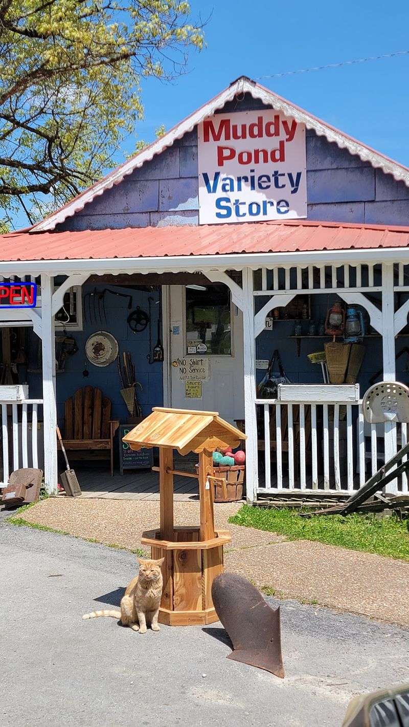 Muddy Pond Variety Store, Monterey, TN