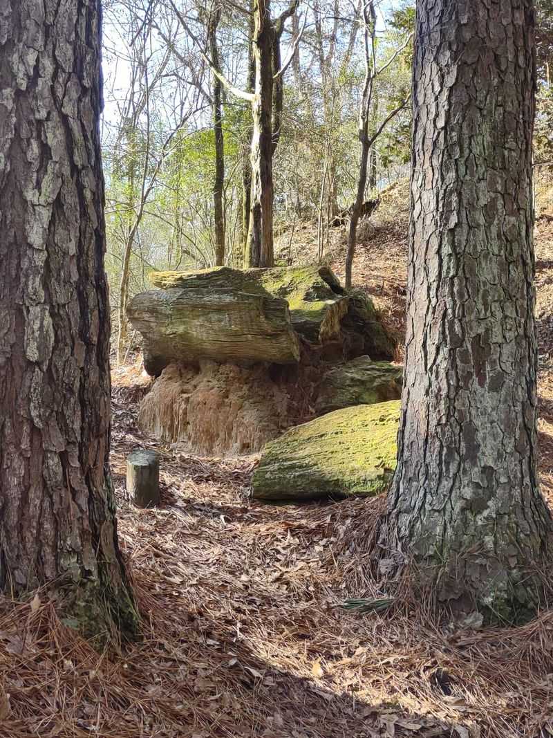 A Stone Forest Tucked Into Madison County