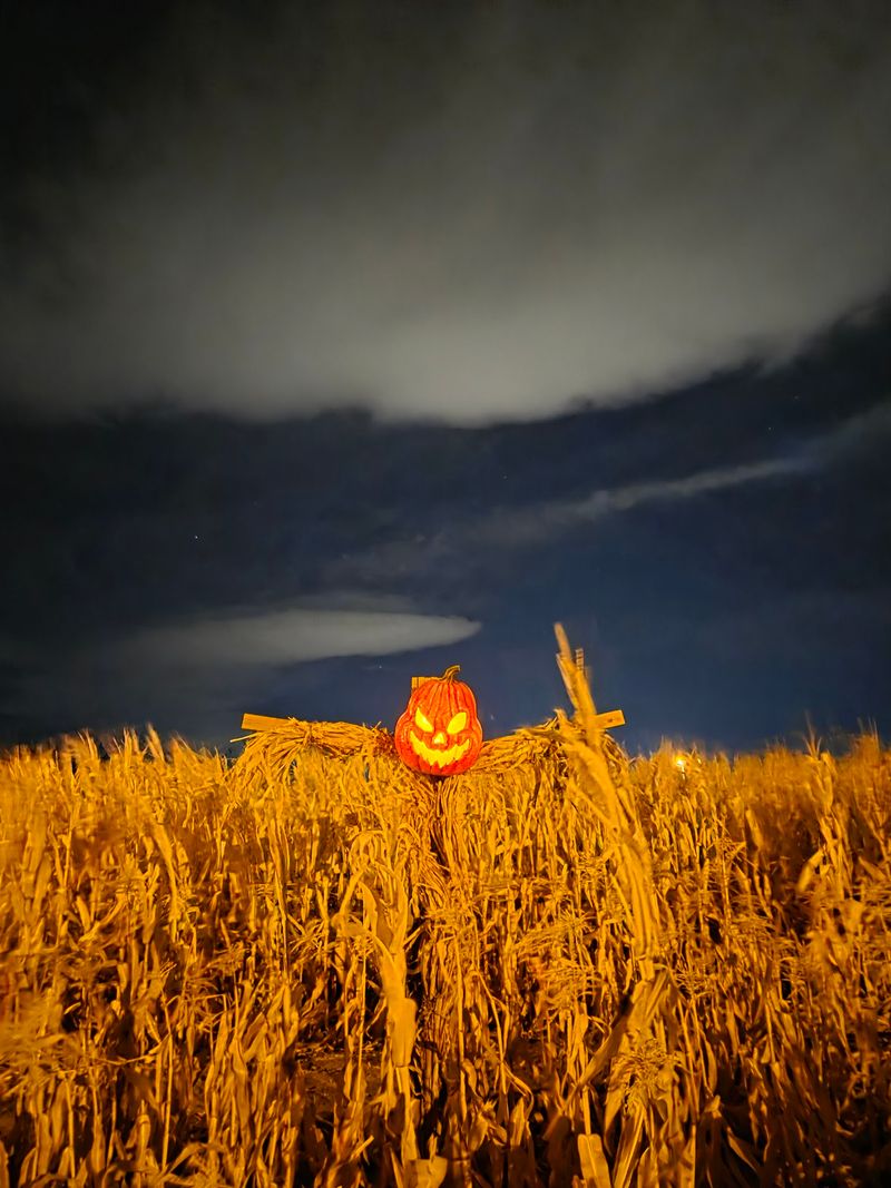 After Dark, The Farm Gets Spooky
