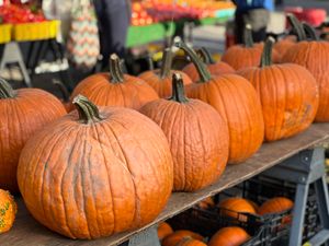 Close-up of fresh pumpkins on display at a bustling outdoor market stall.