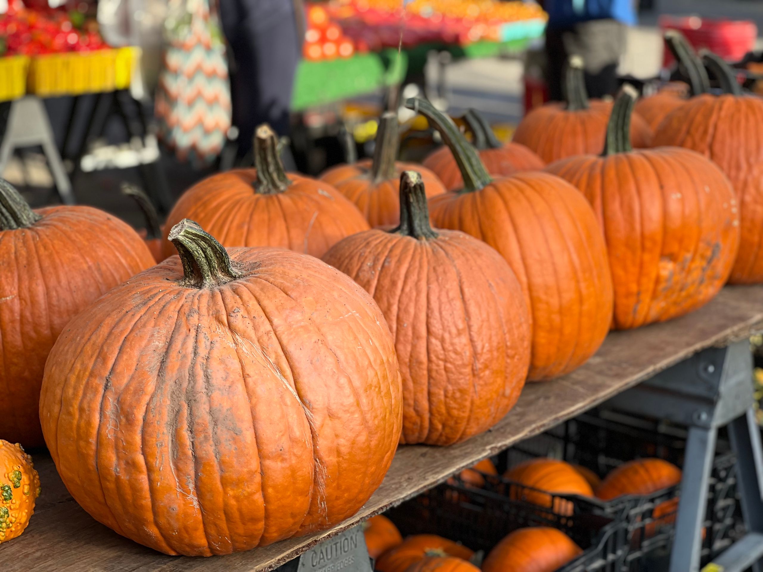 Close-up of fresh pumpkins on display at a bustling outdoor market stall.
