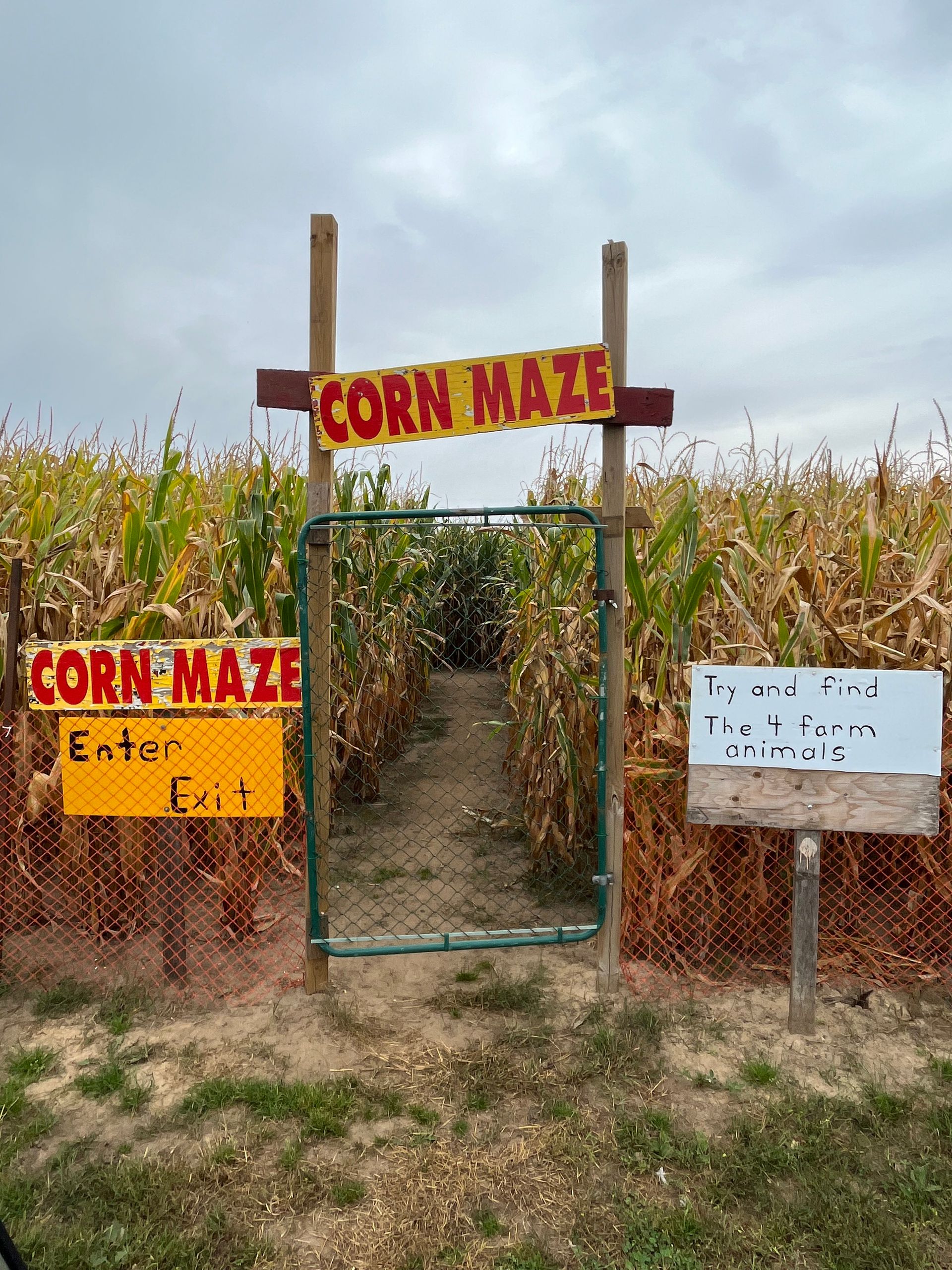 Entrance to a corn maze with signs, hinting family-friendly adventure.