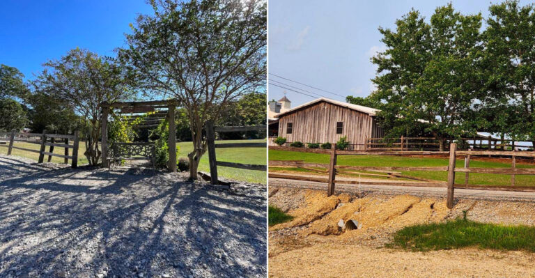 The Mississippi Orchard 2 Hours From Jackson Where You Can Pick Fruit Straight Off The Tree