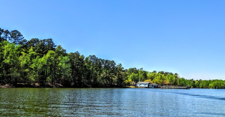 The South Carolina Lake May Be Too Snake-Infested For Its Own Good