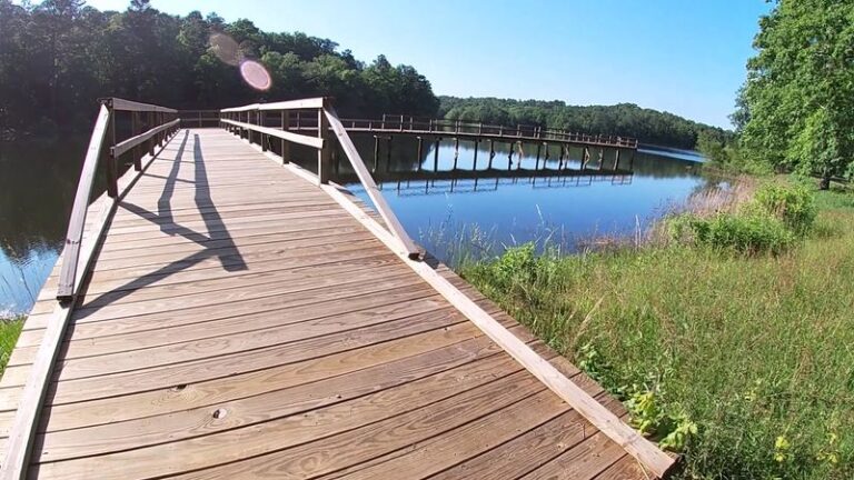 Kids Get 1,200 Acres Of Trails, Lake Shore, And History At This Mississippi State Park