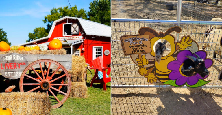 The Small Town Mississippi Pumpkin Adventure Your Kids Will Absolutely Adore