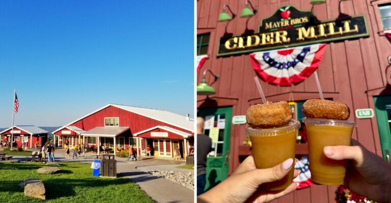 10 New York Fall Markets Worth Visiting Before Halloween For Cider, Donuts, And Local Treats