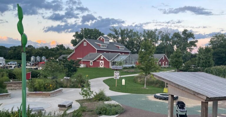At This Illinois Dairy Farm, Kids Help Feed Calves And Watch The Milking