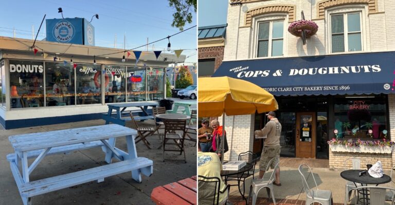 We Ranked 11 Michigan Donut Shops From Pretty Good To Absolutely Irresistible