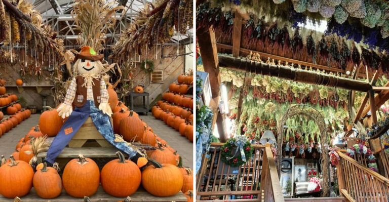 This Rustic Massachusetts Farm Stand Is Piled High With Squash And Pumpkins Every Fall