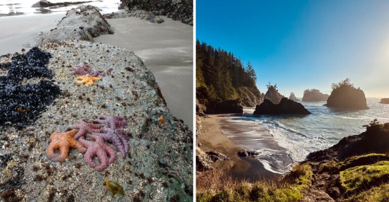 The Quiet Oregon Beach With Clear Blue Water You Have To See To Believe