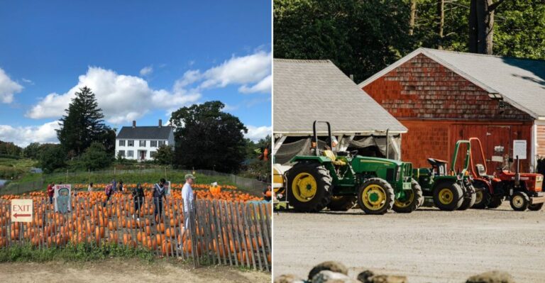 This Massachusetts Farm Market Is A Fall Harvest Wonderland For The Whole Family