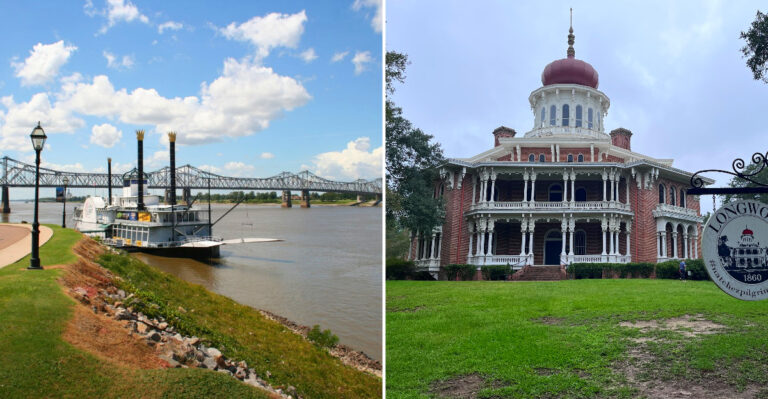 This Mississippi River Town Has Hundreds Of Cats Roaming Its Streets