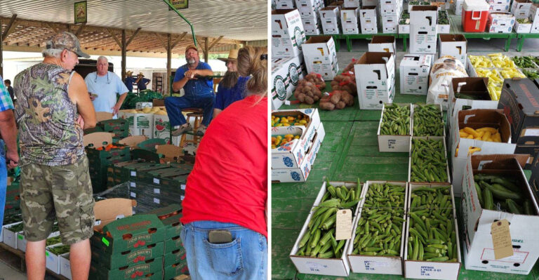 This Tennessee Amish Produce Auction Draws Crowds For Farm-Fresh Goods All Summer Long