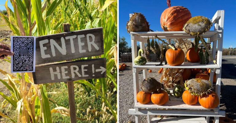 Plan An October Road Trip Around This Harvest Festival Near Fallon, Nevada