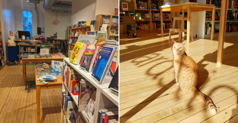 This Wisconsin Bookstore Carries Beautiful Stationery You Won’t Find At Every Shop