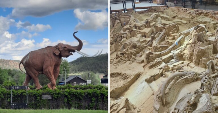 This South Dakota Dig Site Has Mammoth Bones Still Sitting In The Ground Where They Fell