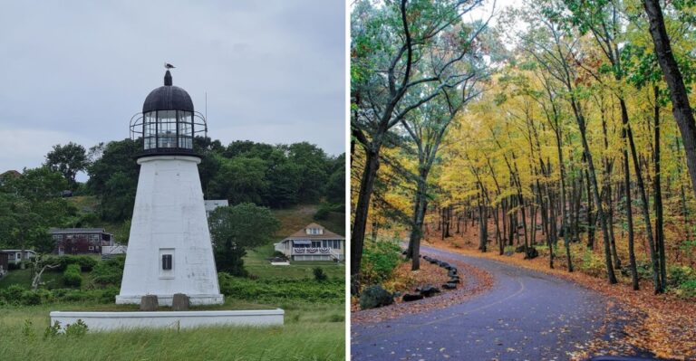 The 10 Areas In Rhode Island Reporting The Highest Tick Populations This Summer